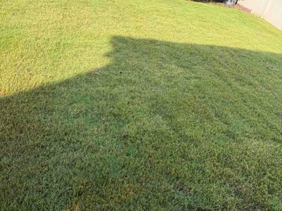 Lawn care service in Lancaster, 29720