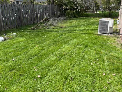 Lawn care service in Livonia, 48152
