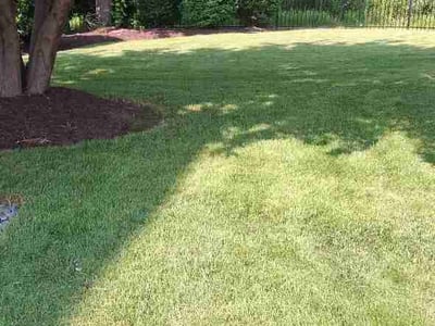 Lawn care service in Sugar Grove, 60554