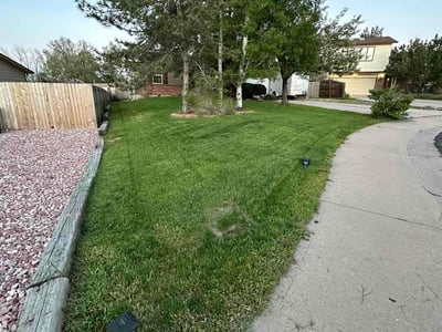 Lawn care service in Morrison, 80465