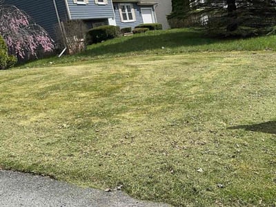 Lawn care service in Liverpool, 13090
