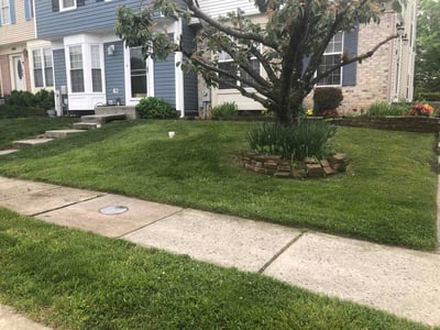 Lawn care service in Perry Hall, 21236