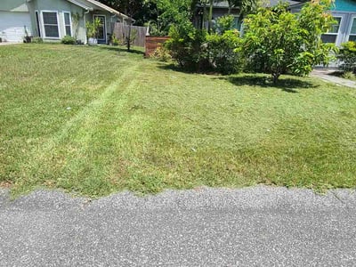 Lawn care service in Orlando, 32803