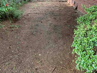 Lawn care service in Norfolk, 23505