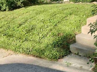 Lawn care service in Kansas City, 66103
