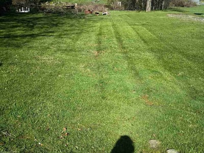Lawn care service in Pontiac, 48341