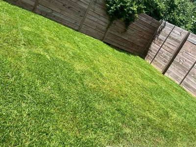 Lawn care service in Houston, 77020