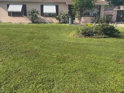 Lawn care service in Lehigh Acres, 33936
