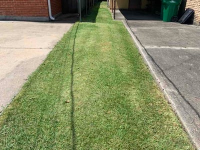 Lawn care service in Gretna, 70053