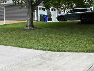 Lawn care service in Ellicott City, 21042