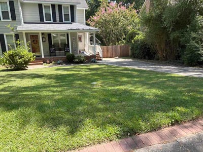 Lawn care service in Columbia, 29212