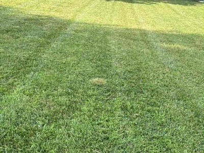 Lawn care service in Eagleville, 19403