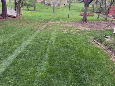 Lawn care service in West Chester Township, 45069