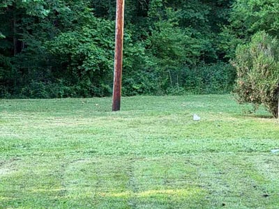 Lawn care service in Charleston, 25304