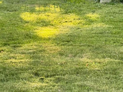 Lawn care service in Milford, 06460