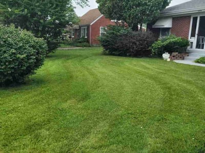 Lawn care service in Louisville, 40272