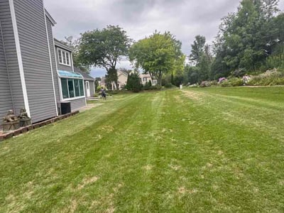 Lawn care service in Waukesha, 53186