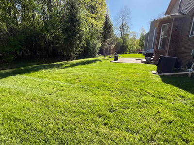 Lawn care service in Southfield, 48034