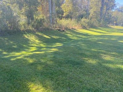 Lawn care service in Zachary, 70791