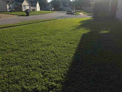 Lawn care service in Virginia Beach, 23454