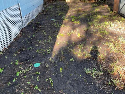 Lawn care service in Jacksonville, 32218