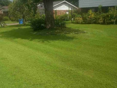 Lawn care service in Chattanooga, 37421