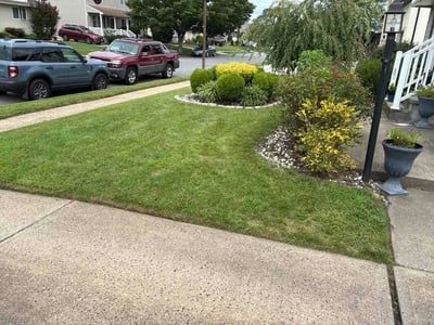 Lawn care service in Franklin Square, 11010