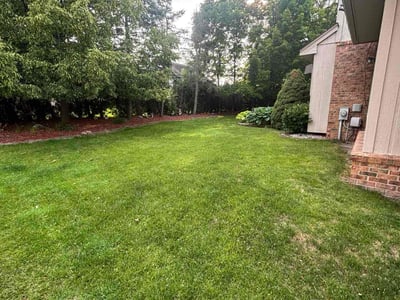Lawn care service in Livonia, 48152