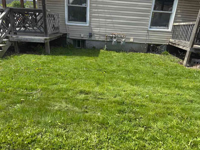 Lawn care service in Elmira Heights, 14903