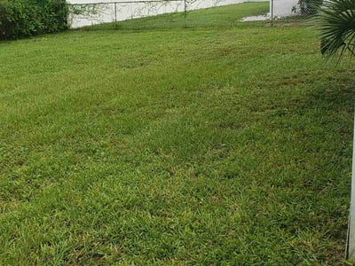 Lawn care service in Sarasota, 34232