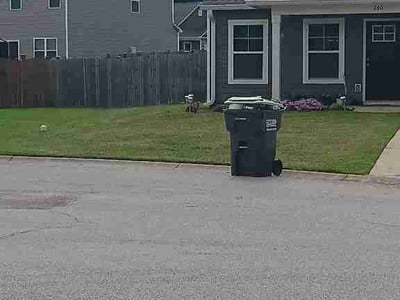 Lawn care service in Chapin, 29036
