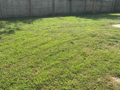 Lawn care service in Goose Creek, 29445