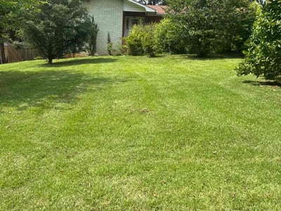 Lawn care service in Austell, 30106