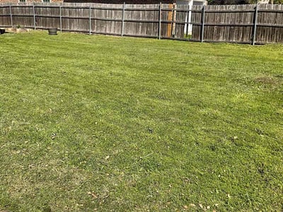 Lawn care service in Fort Worth, 76140
