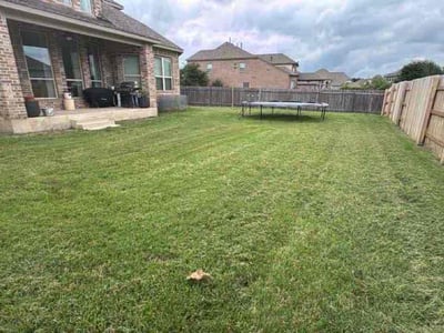 Lawn care service in Georgetown, 78628