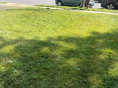 Lawn care service in Highland Park, 08904