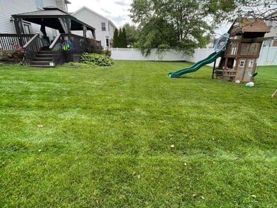 Lawn care service in Pickerington, 43147