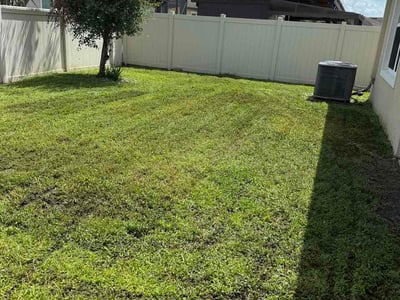 Lawn care service in Wesley Chapel, 33545