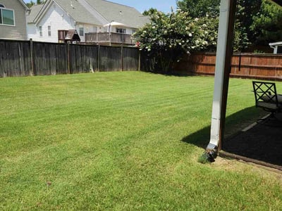 Lawn care service in Dacula, 30019