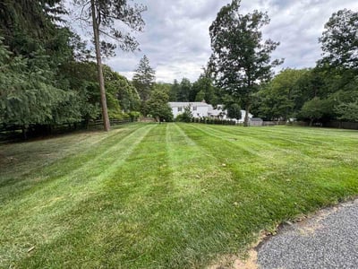 Lawn care service in Towson, 21204