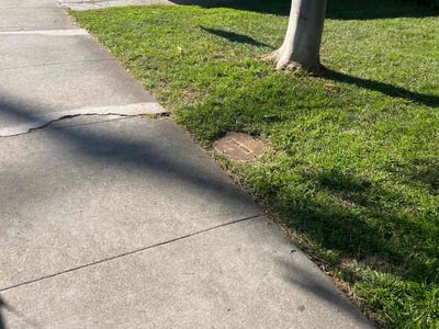Lawn care service in Mountain View, 94043