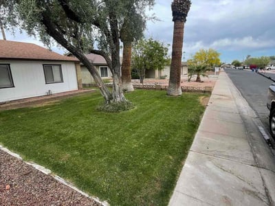 Lawn care service in Tempe, 85282