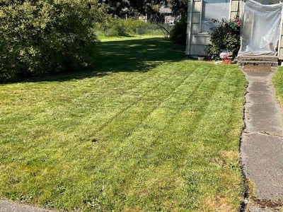 Lawn care service in Parkland, 98444