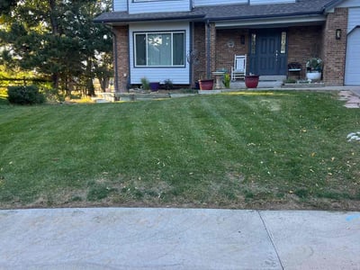 Lawn care service in Parker, 80138