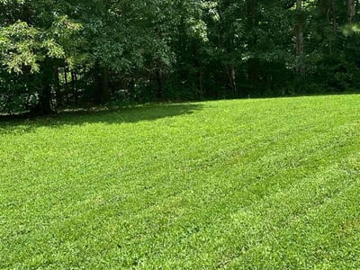 Lawn care service in Lithonia, 30058