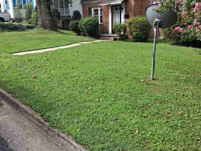 Lawn care service in Colonial Heights, 23834