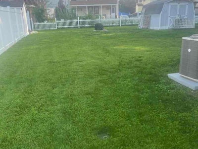 Lawn care service in Williamsport, 17701