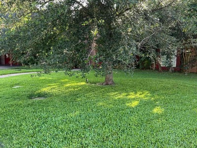 Lawn care service in Houston, 77017