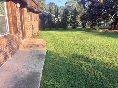 Lawn care service in Morrow, 30260