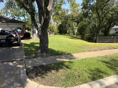 Lawn care service in Garland, 75041
